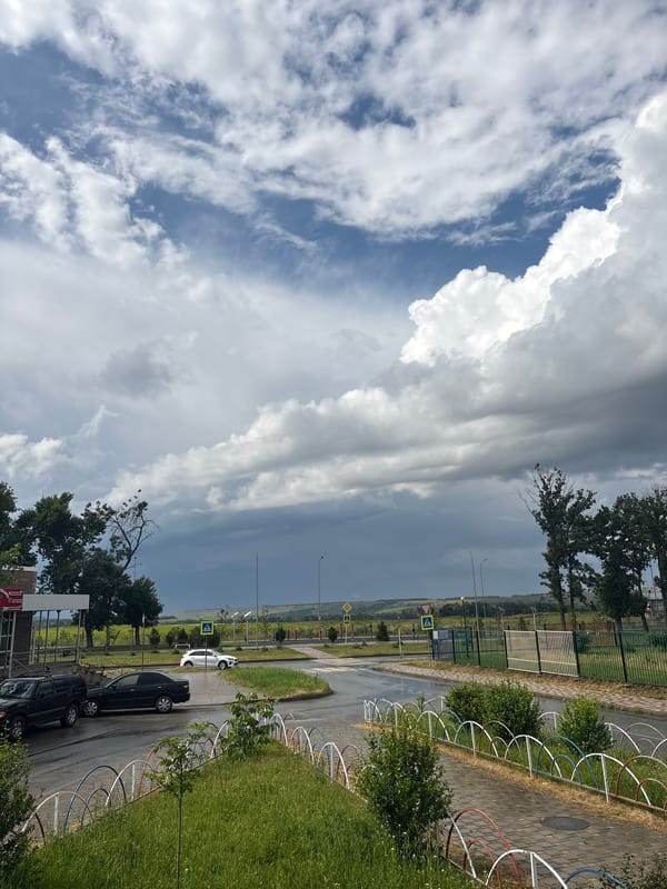 Stormy skies, blooming gardens, and a sleepy bulldog in Mikhaylovsk