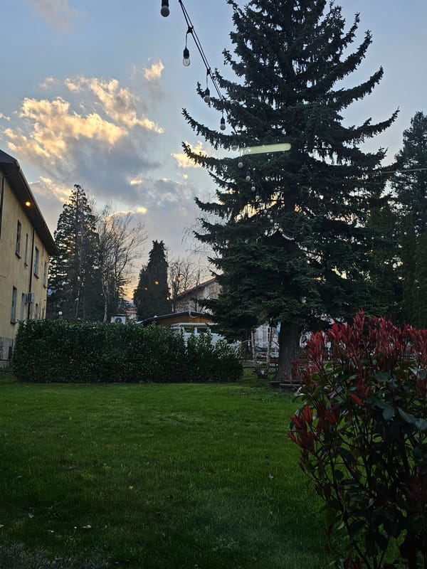 Residential garden scene documented in Berkovitsa, Bulgaria