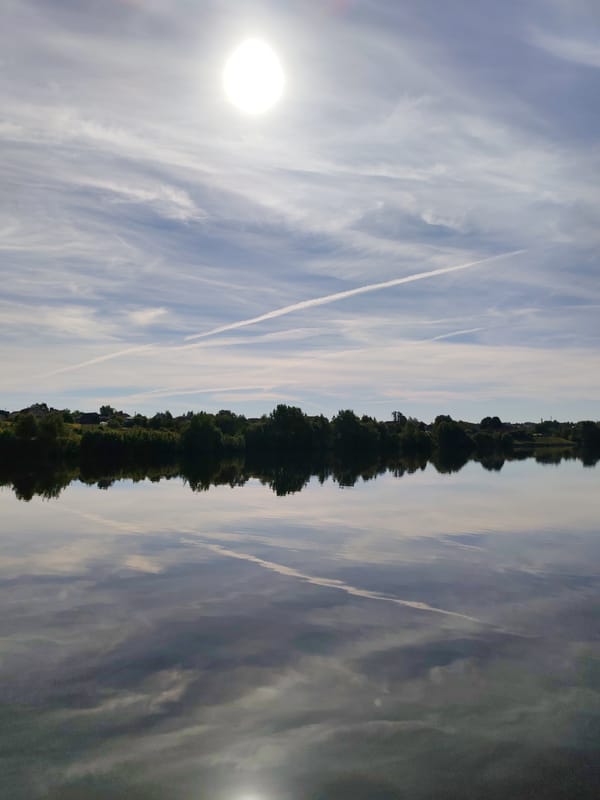 Morning landscape captured showing sky, trees, and water