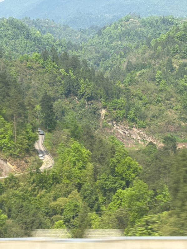 Vehicles navigate winding mountain road through dense forest in Dongwenquan