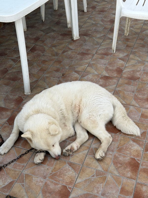Personal moments captured across Tsarevo, Bulgaria during afternoon hours