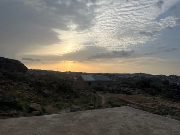 Kittens play at sunset in Jos, Nigeria