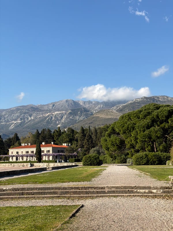 Cat and boy share concrete wall moments in Sveti Stefan