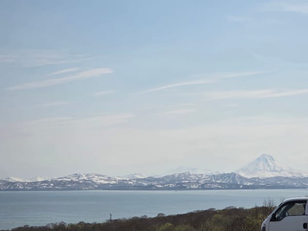 Snow-capped mountain observed from multiple urban locations early morning