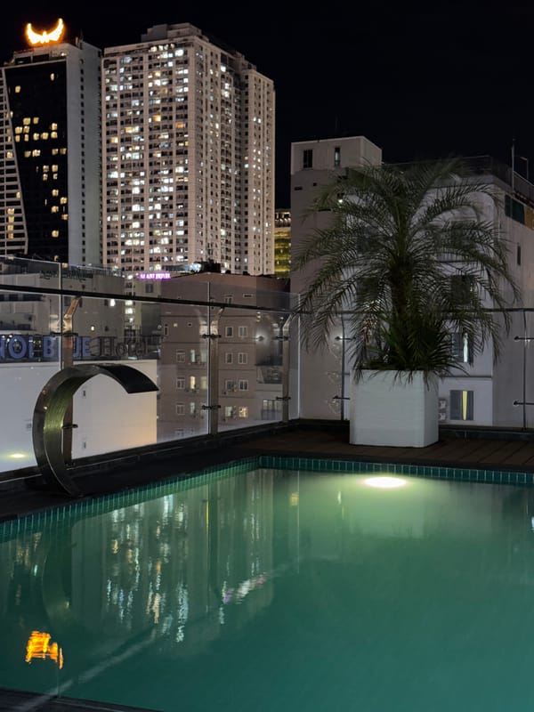 Rooftop pool and palm fronds against a nighttime cityscape