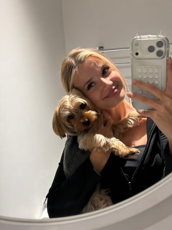Lazy afternoon in with a Yorkshire Terrier, Thep Krasatti