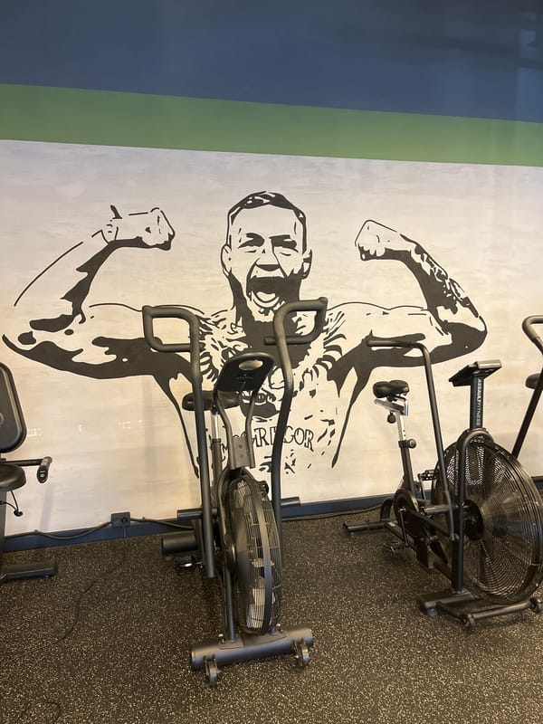 Gym workout session documented in Sochi fitness facility