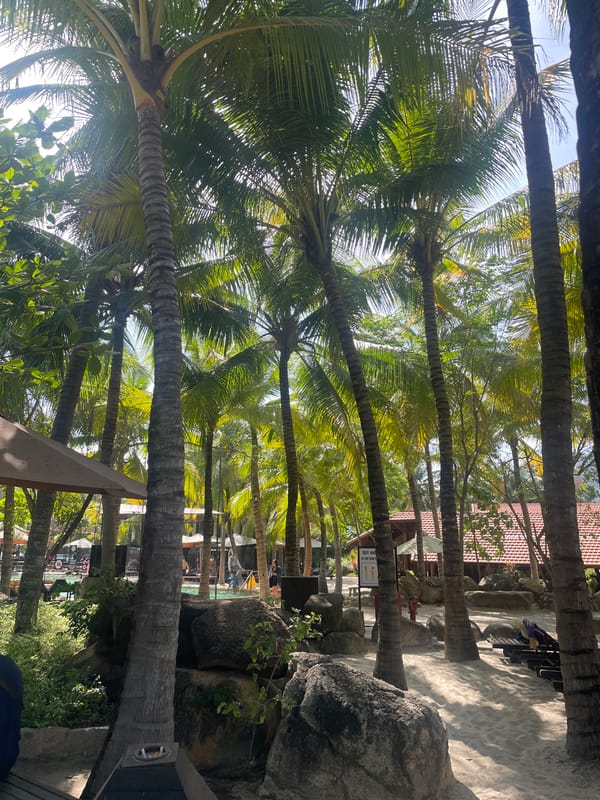 Tropical scenery documented across Nha Trang Vietnam morning