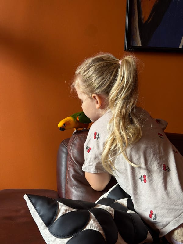 Parrot, a child, and a wall decoration in a Khimki apartment
