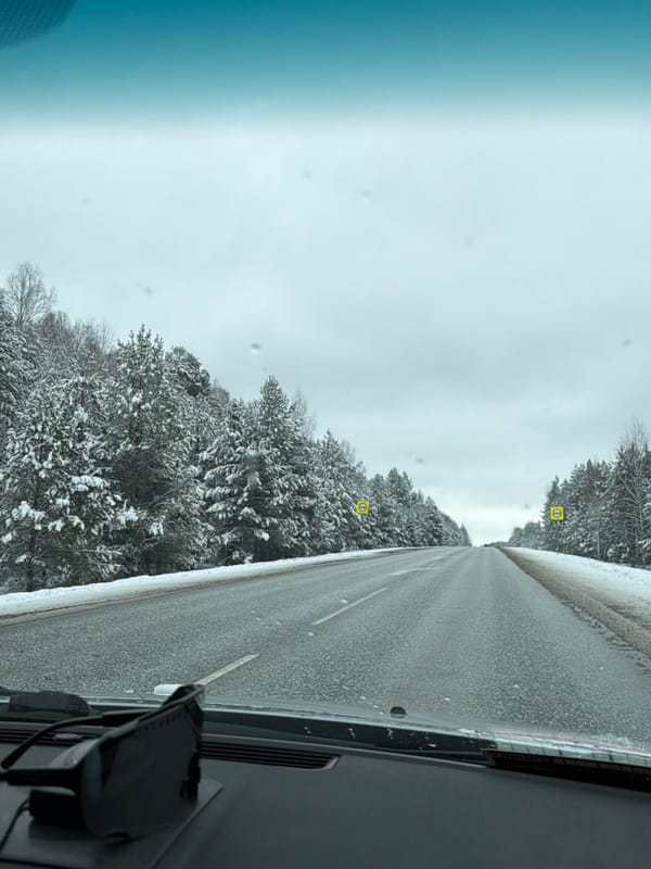Motorist documents snowy forest drive in Chaikovsky, Russia