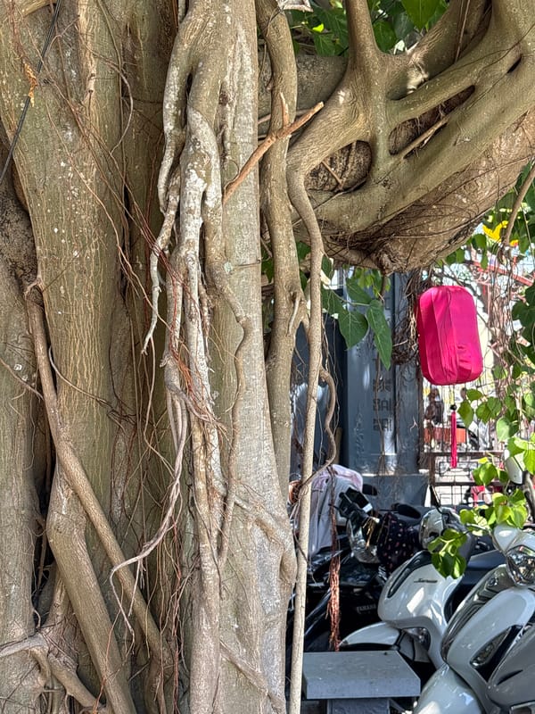 Temple exploration and street scenes in Hội An Ward