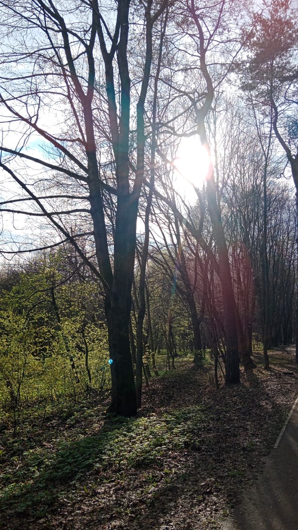 Moscow park scenes captured during early spring afternoon