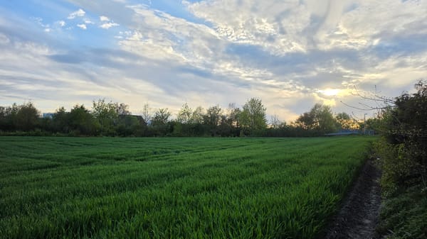 Evening bonfire gathering documented in rural agricultural setting