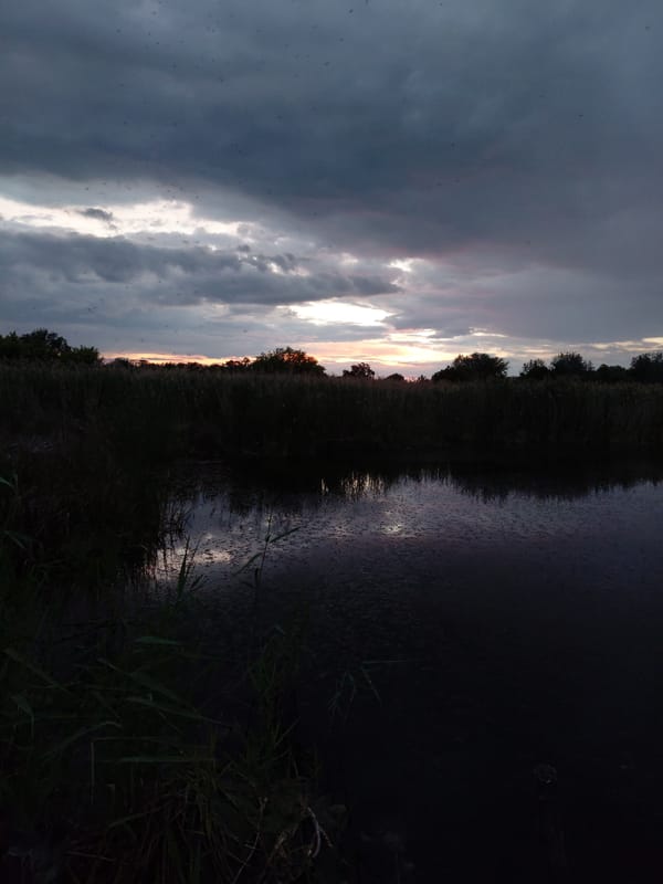 Storm clouds gather over marshy lake in Ustyvytsia, Ukraine