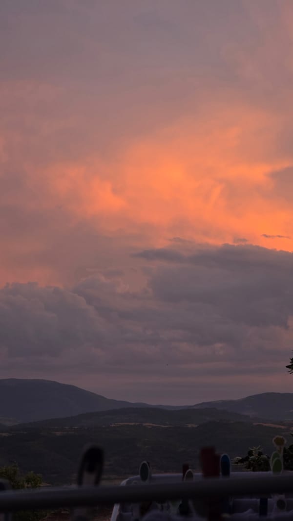 Baby moments, costumed dog, sunset captured in Blagoevgrad evening