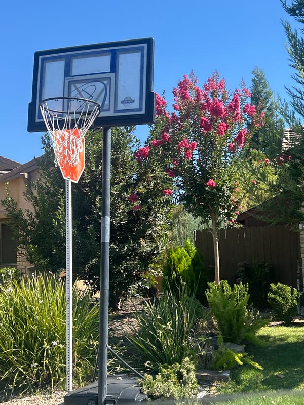 Suburban Roseville streets and backyards on a sunny day