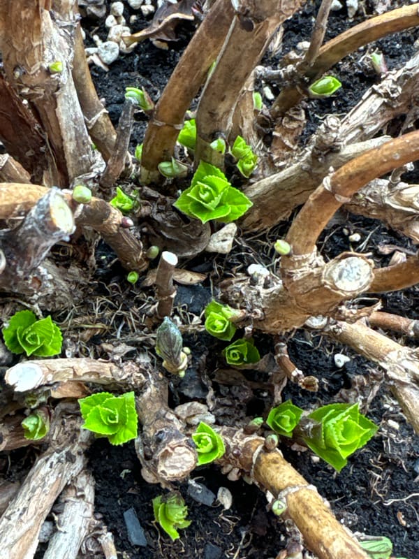 Daily life moments documented across Carnikava, Latvia morning hours