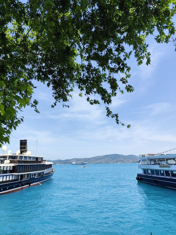 Sunny morning stroll documented along Bosphorus waterfront in Istanbul