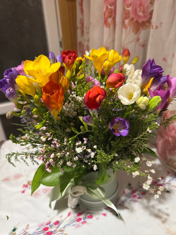 Colorful freesia bouquet arranged in light green vase in Sofia