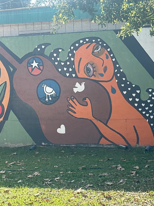 Santiago street art, signage, and stadium documented during afternoon tour