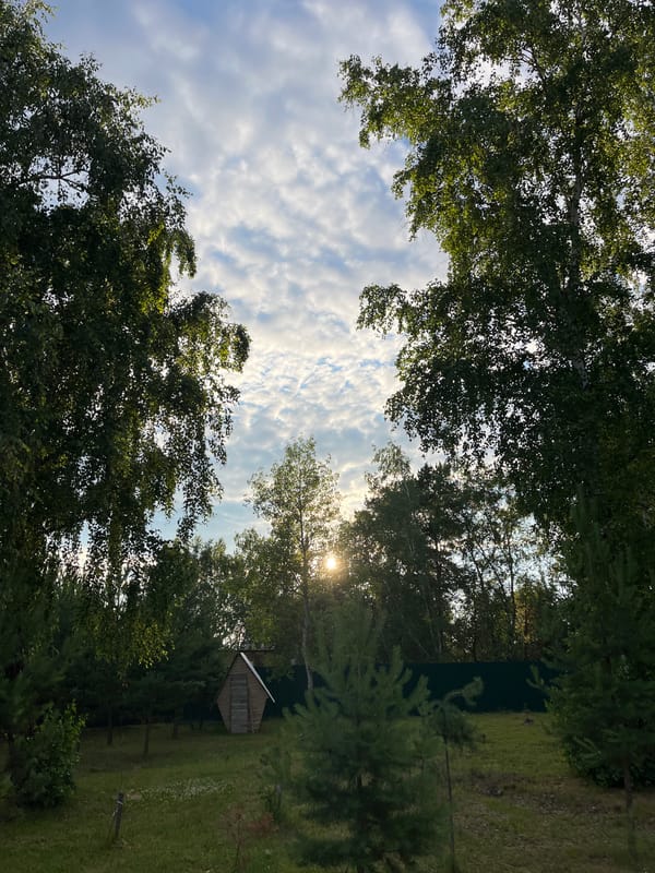 Sky and trees through multiple angles in Krasnoturansk