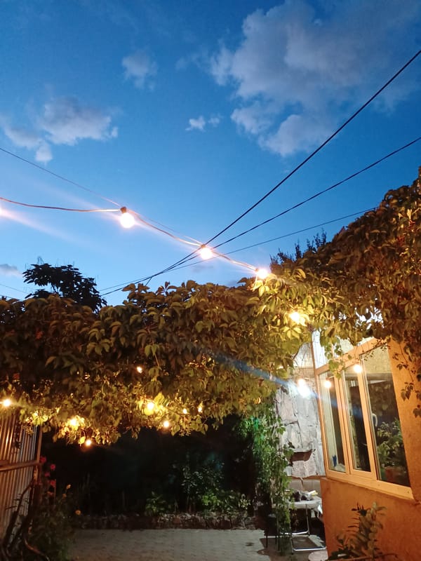 Almaty neighborhood at dusk: buildings, skies, cats, and everyday life