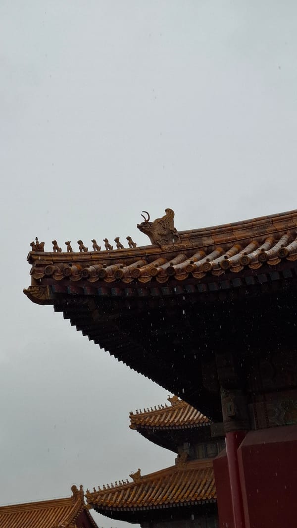 Early morning documentation of Forbidden City architecture during rainfall