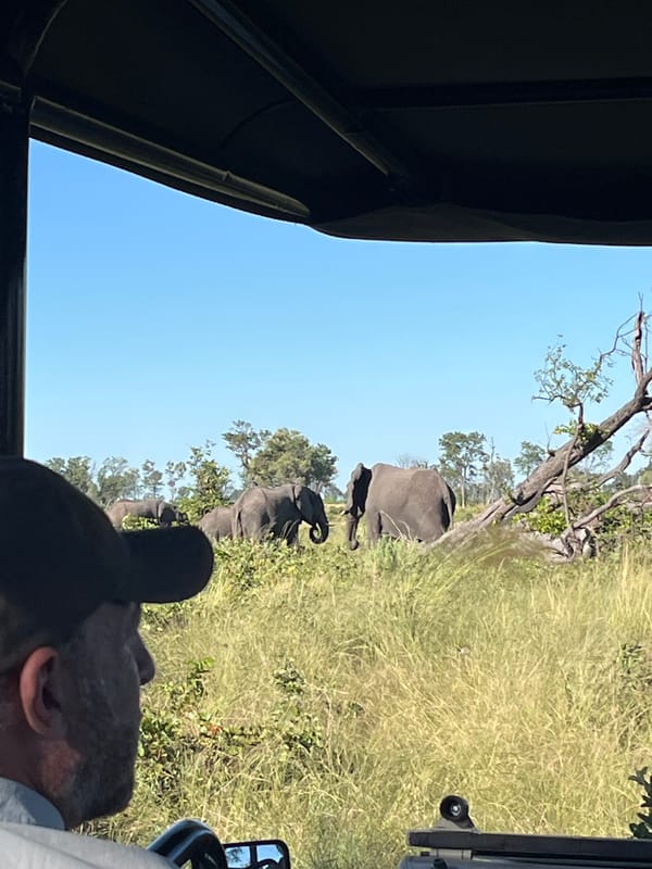 Safari tourists observe elephants grazing in Khwai, Botswana