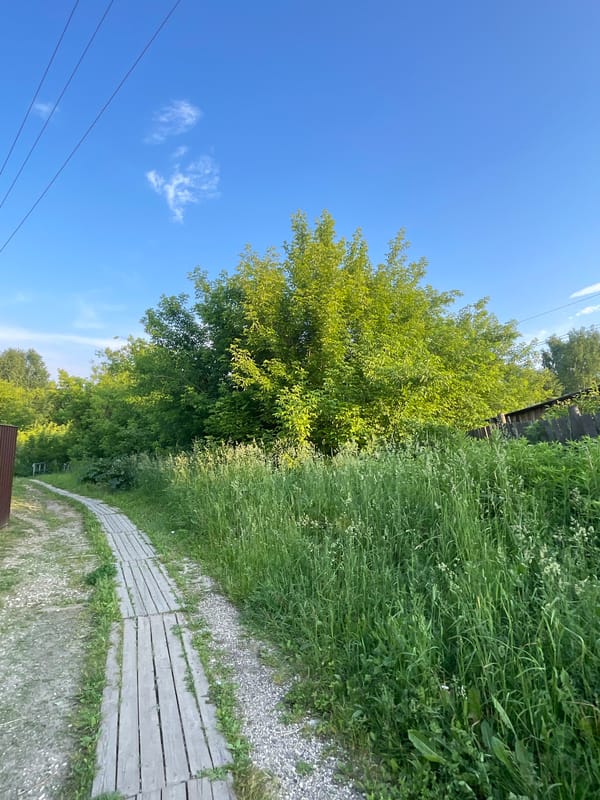 Village walk through Krasnye Baki's paths and boardwalks