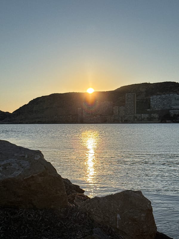 Coastal fishing and harbor activity observed during evening hours