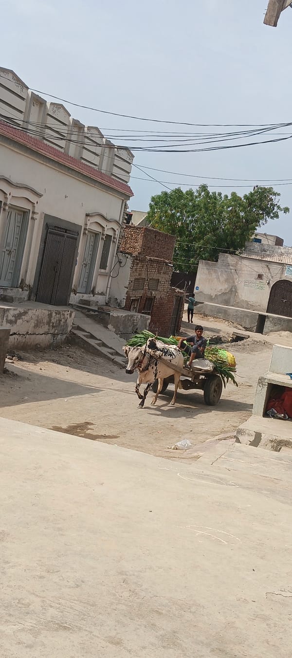 Daily life unfolds on dusty streets of Karamsar village