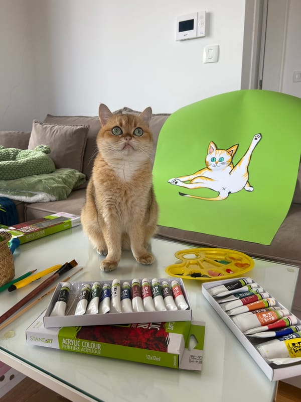 Art and cats documented in morning Montenegro scenes