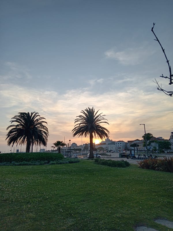 Unknown witness captures sunset marina scenes in unidentified coastal city