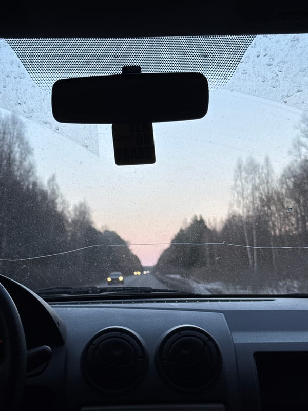 Driver captures sunset forest views near Uspenskii, Russia