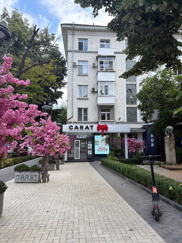Weekday morning foot traffic on Chișinău's main boulevard