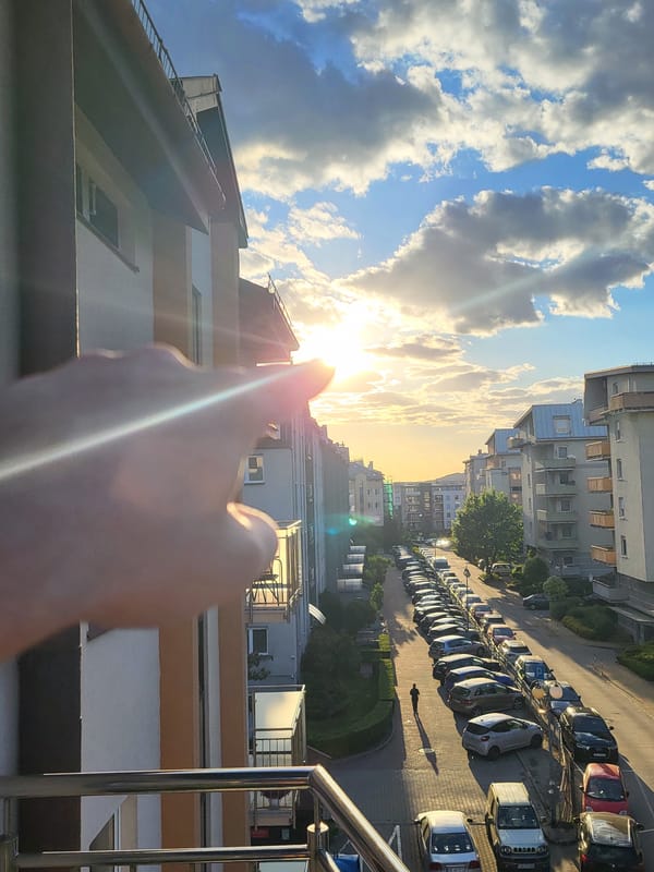 Urban afternoon: cityscape views and cat moments captured