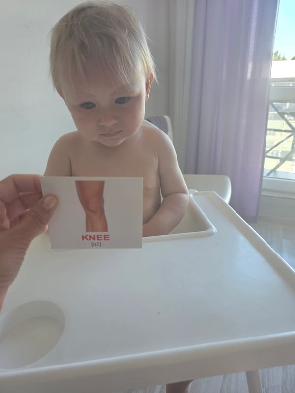 Toddler works through anatomy flashcards in English and Russian