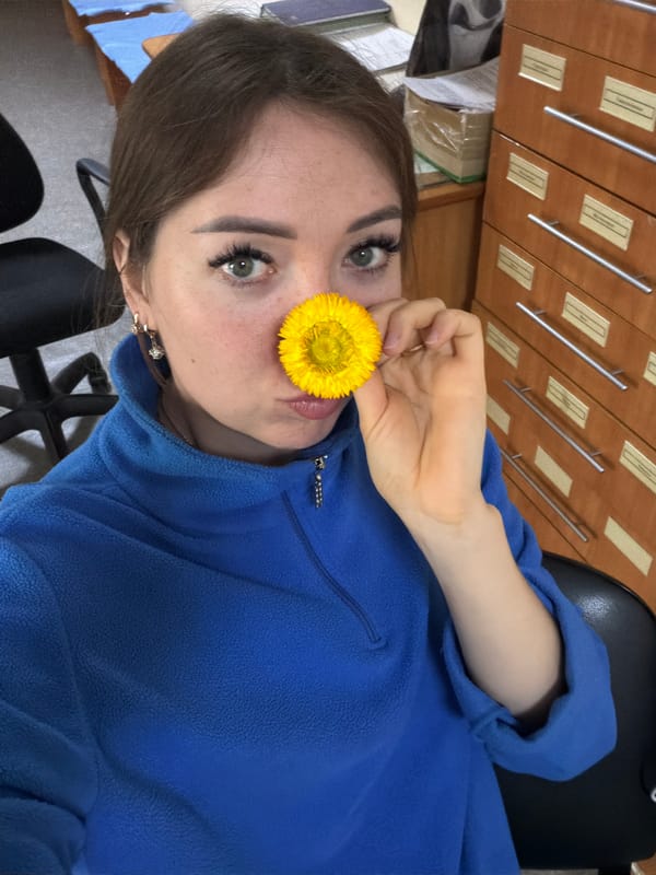 Selfies and sunflower close-ups in Tujmazy, Russia