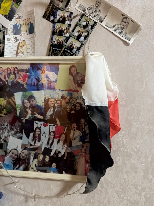 Domestic moments: rabbit care, memorabilia display, household organization captured