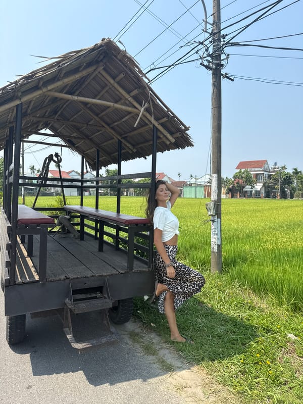 Woman rests by bamboo-roofed vehicle near Đà Nẵng rice fields