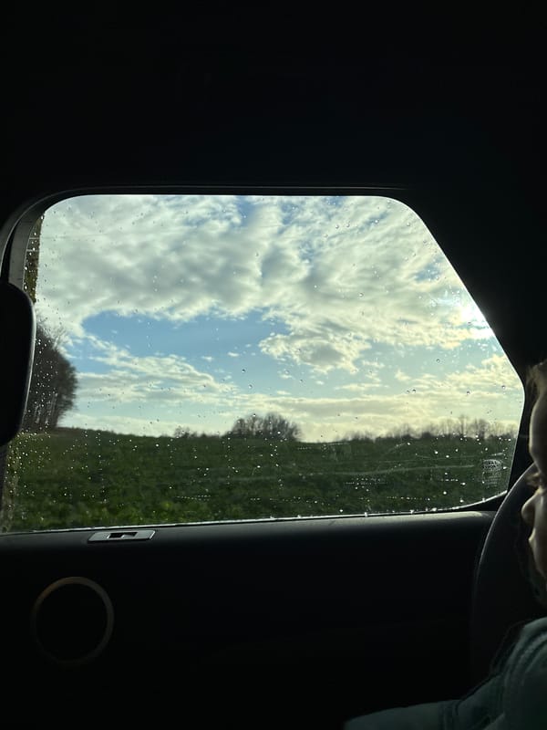 Driver in Range Rover after car wash in Differdange