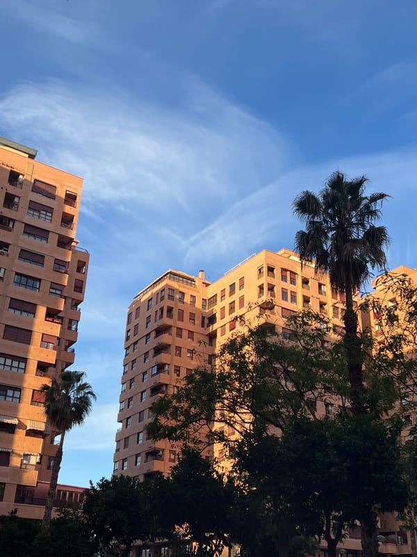Urban architecture documented in Valencia featuring palm trees
