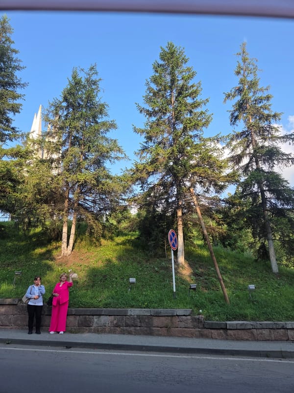 Sidewalk moment by a stone wall in Dilijan, Armenia