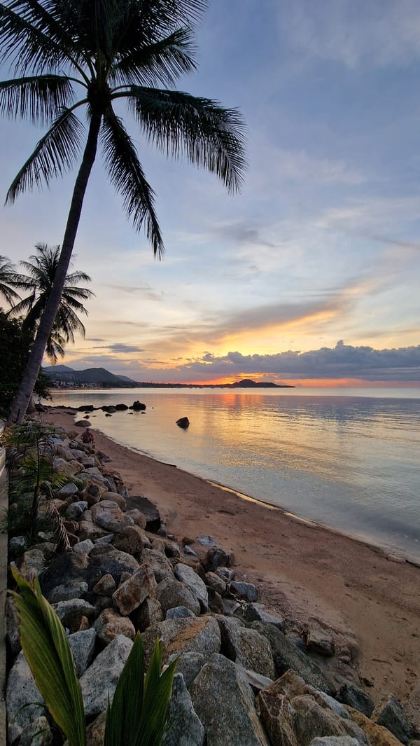 Sunset beach scene with palm trees in Baan Bang Rak