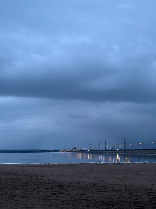 Twilight gathering documented at Noviy Russia shoreline April 21