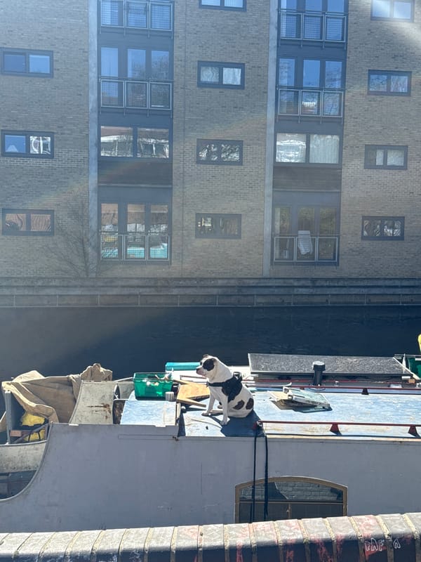 Canal view captured from elevated position in London