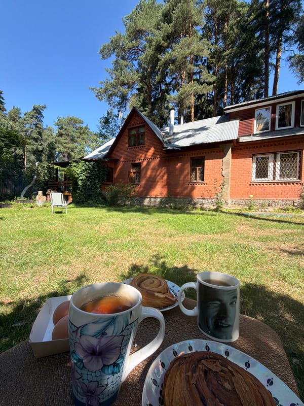 Lazy summer morning at a dacha in Udelnaya