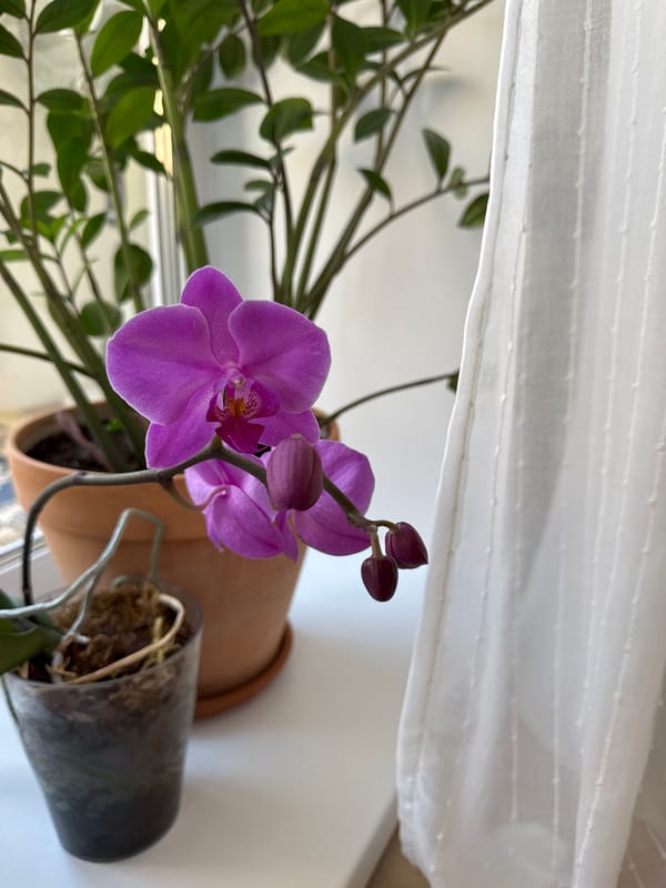 Izhevsk resident documents morning home scenes and construction view