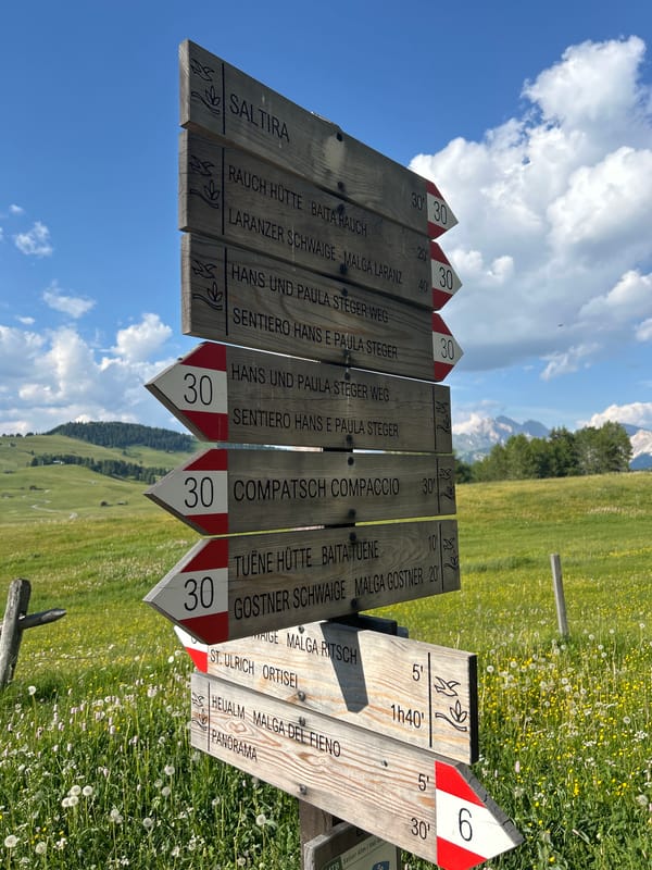 A afternoon exploring alpine meadows, forest trails, and a mountain village