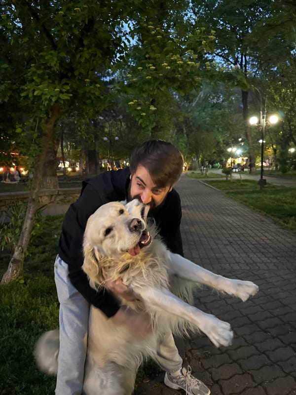 Evening life documented across Yerevan featuring dogs and dining